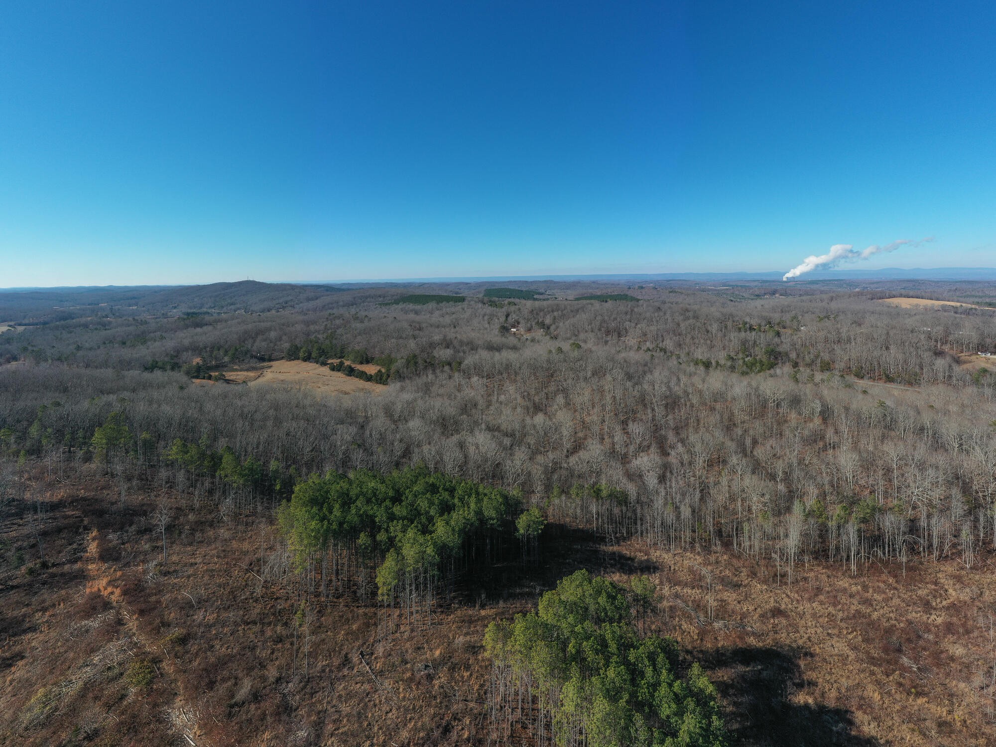 2164 Co Road Decatur, TN 37322 - Photo 28 of 53