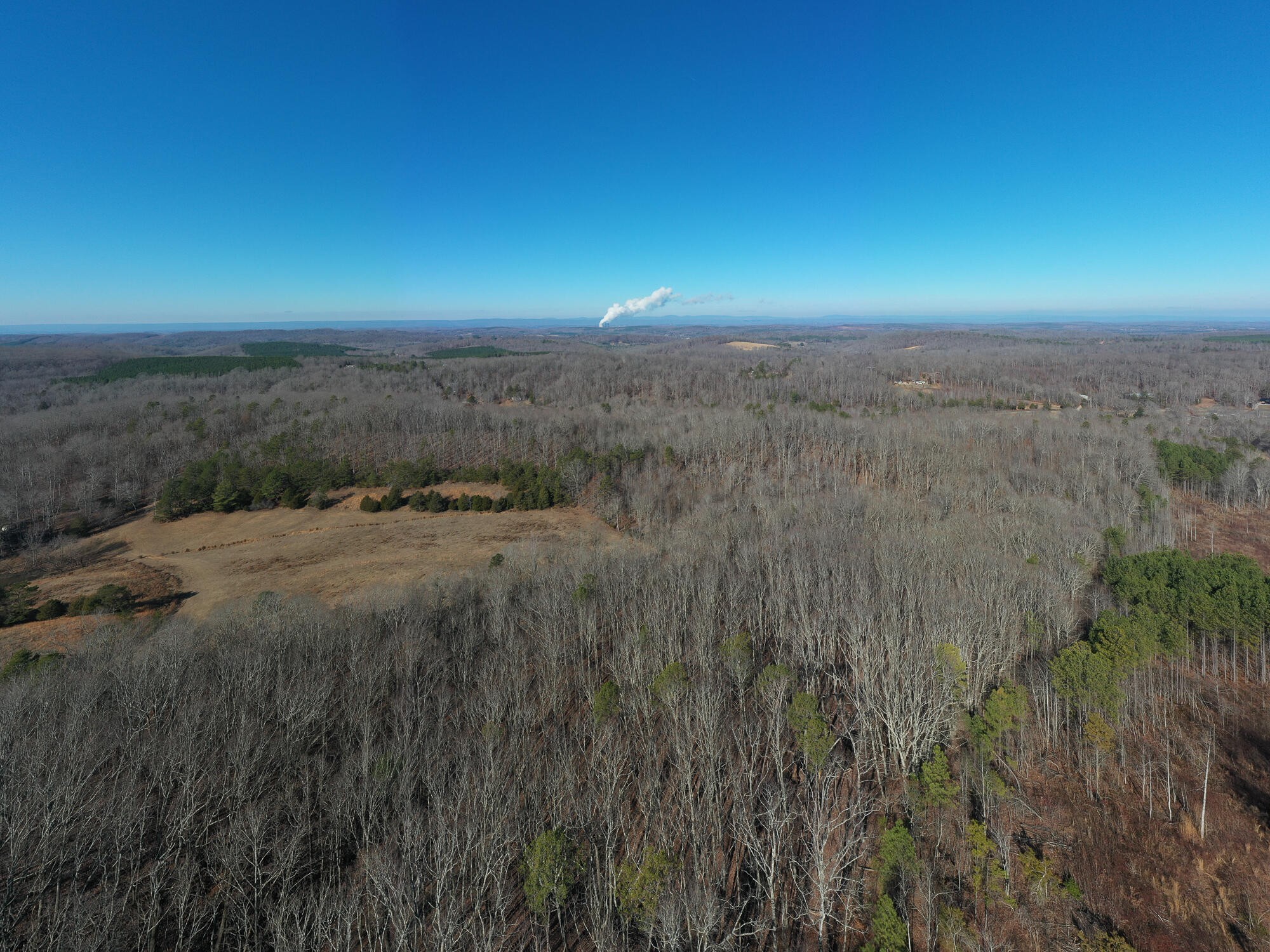 2164 Co Road Decatur, TN 37322 - Photo 30 of 53
