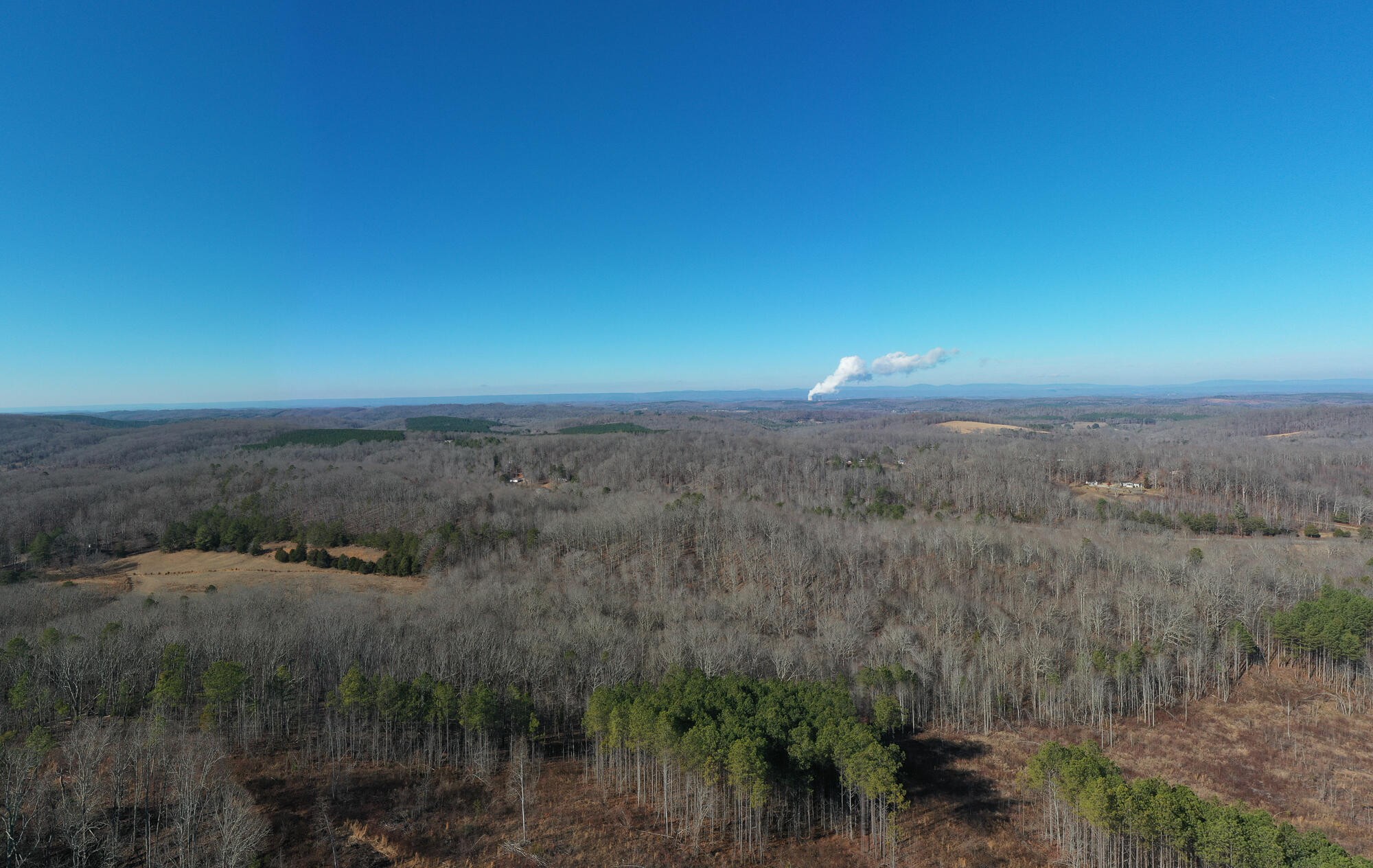 2164 Co Road Decatur, TN 37322 - Photo 32 of 53