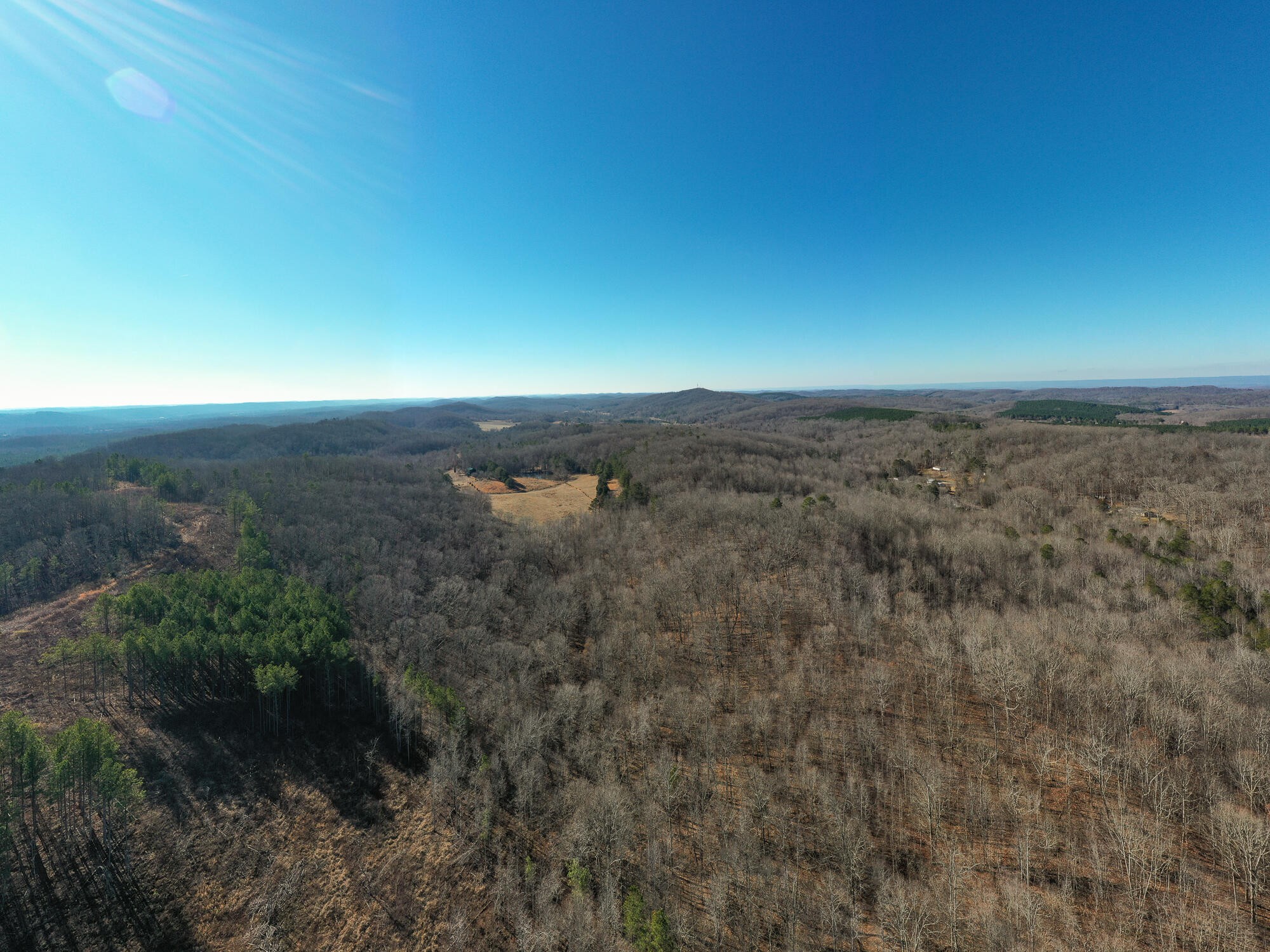 2164 Co Road Decatur, TN 37322 - Photo 33 of 53
