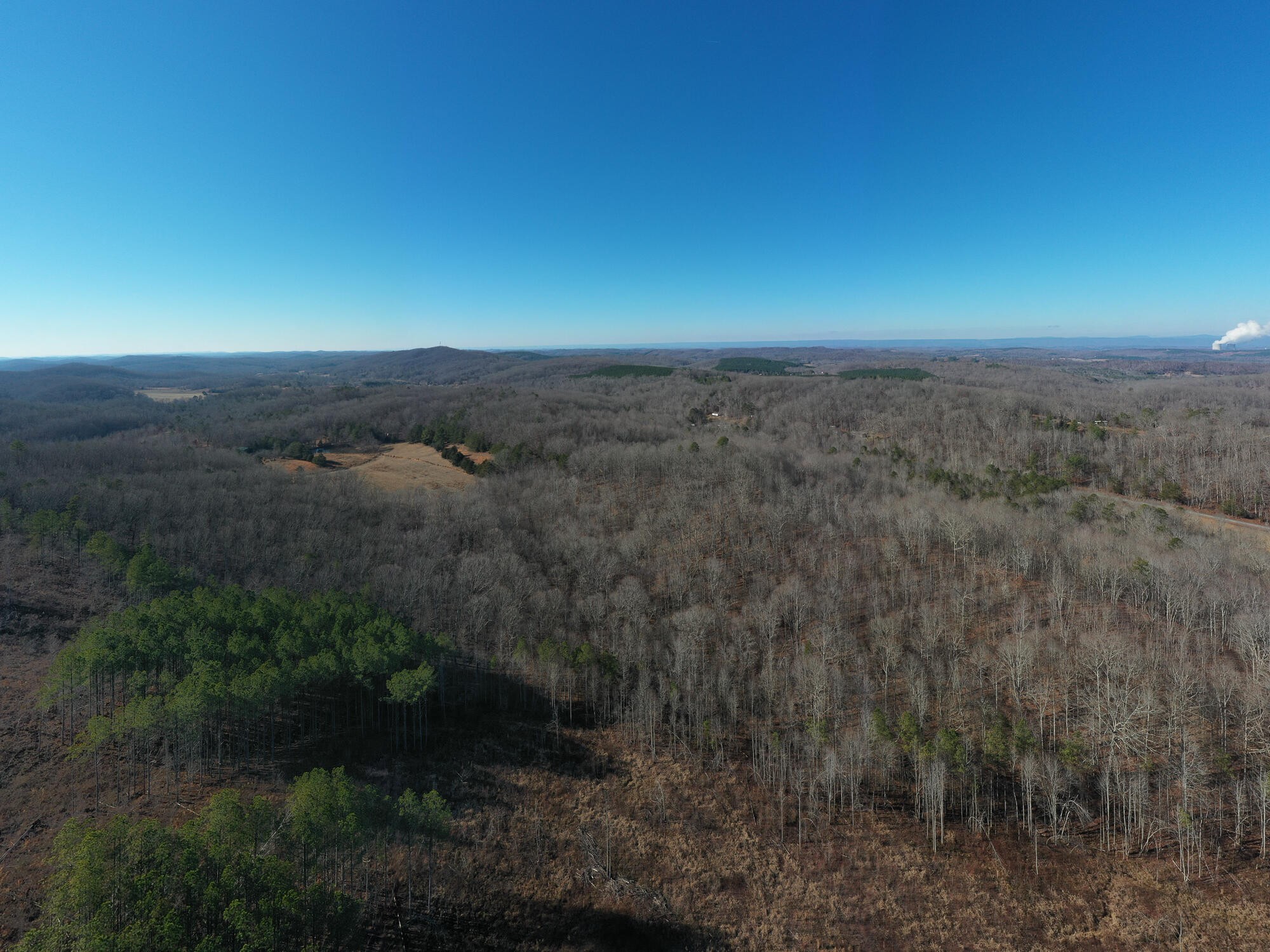 2164 Co Road Decatur, TN 37322 - Photo 34 of 53