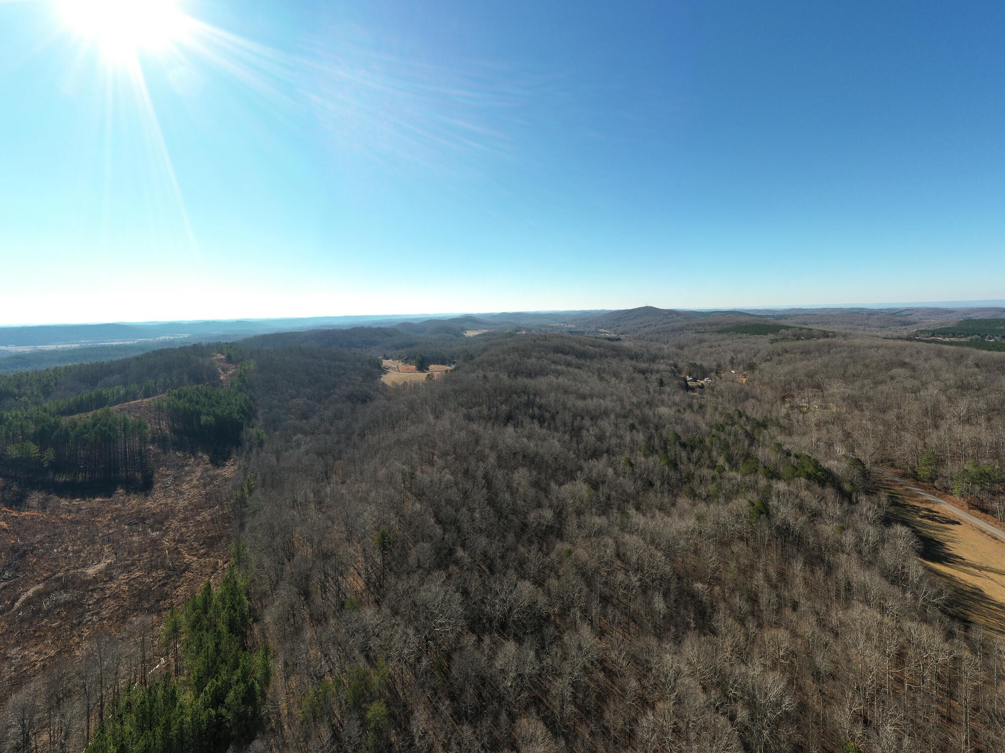2164 Co Road Decatur, TN 37322 - Photo 35 of 53
