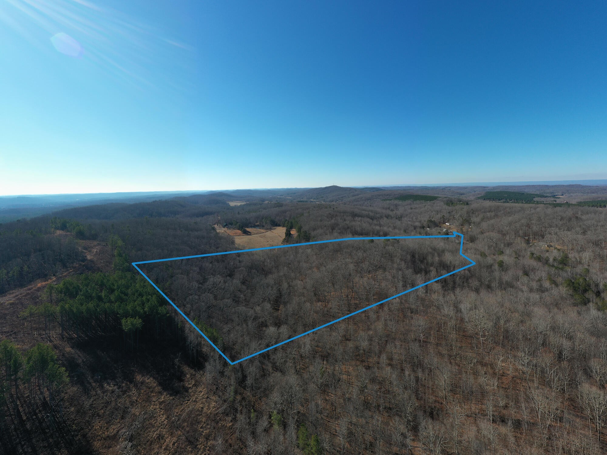 2164 Co Road Decatur, TN 37322 - Photo 38 of 53