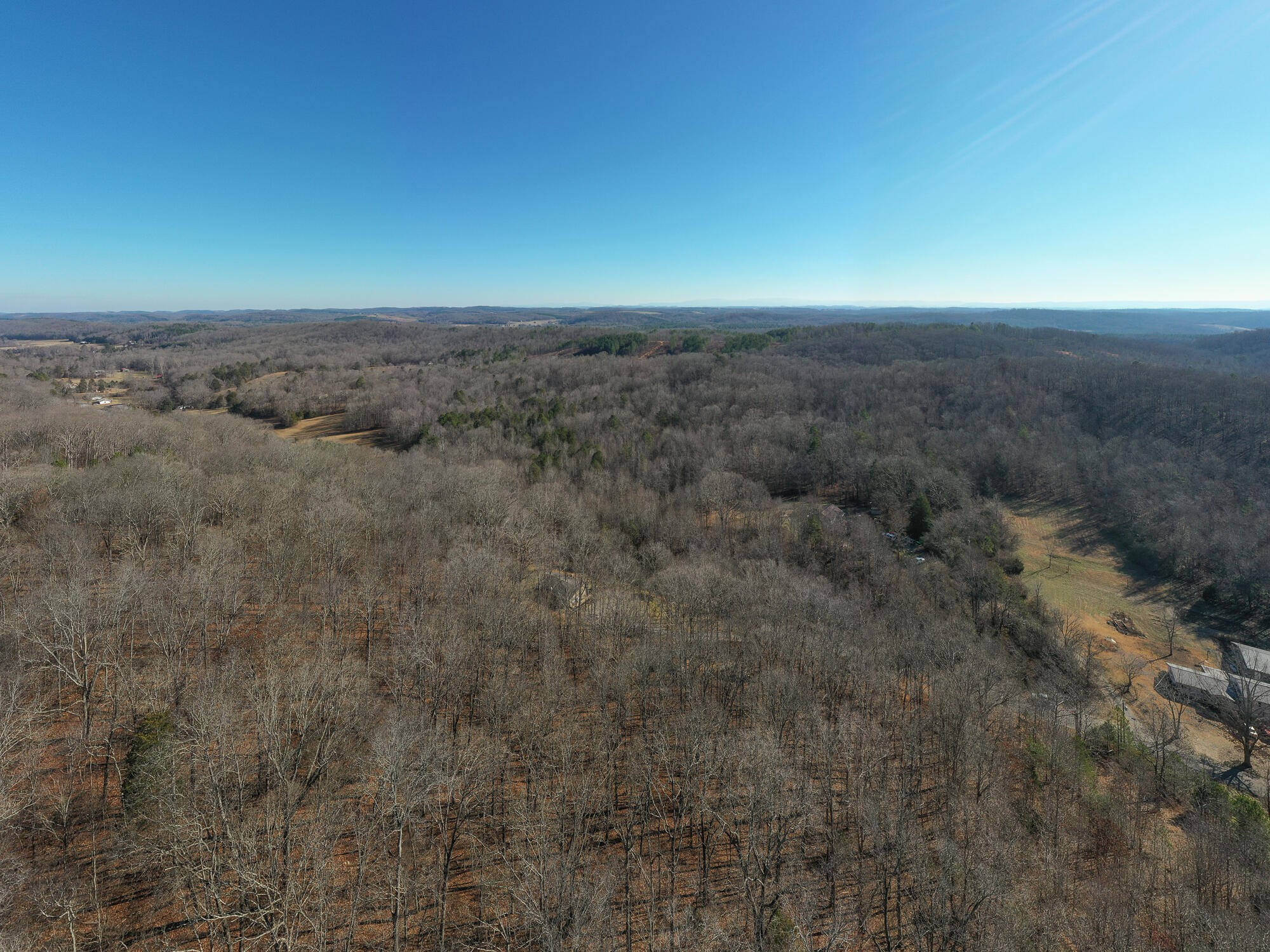 2164 Co Road Decatur, TN 37322 - Photo 44 of 53