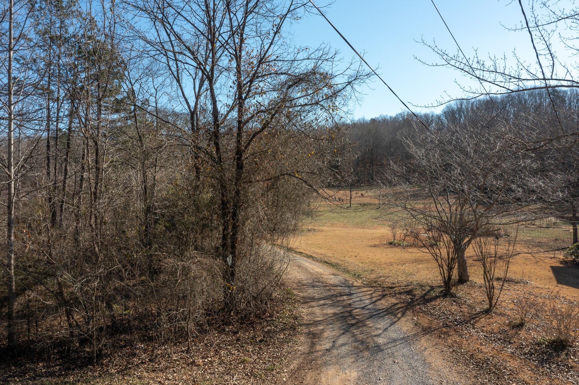2164 Co Road Decatur, TN 37322 - Photo 47 of 53