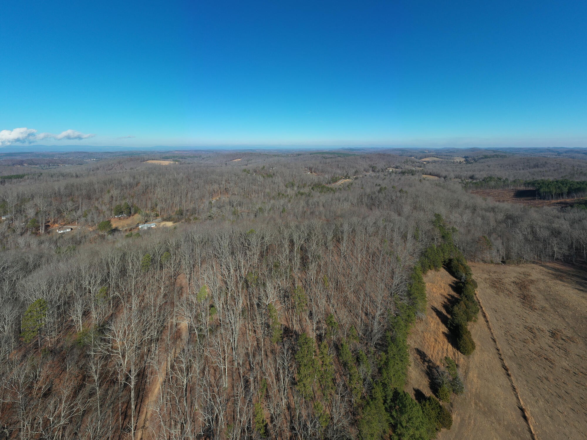 2164 Co Road Decatur, TN 37322 - Photo 49 of 53