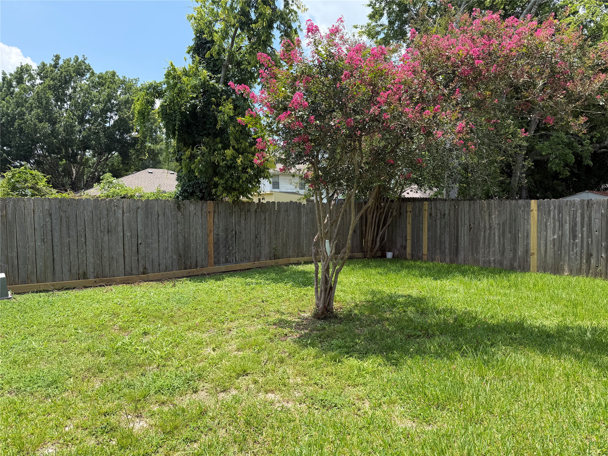 23423 Tree House Lane Spring, TX 77373 - Photo 13 of 22 beautiful blooming crape myrtle
