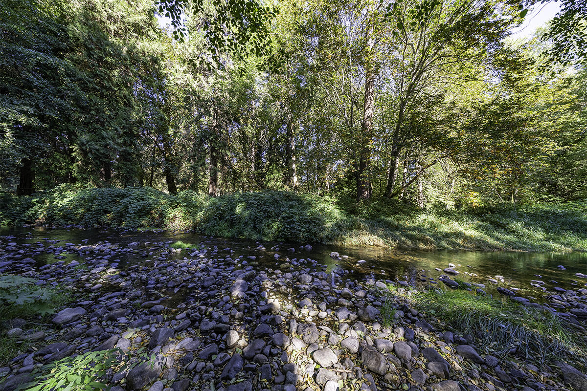 255 Davidson Road Williams, OR 97544 - Photo 75 of 82 DSC04255-HDR-Edit