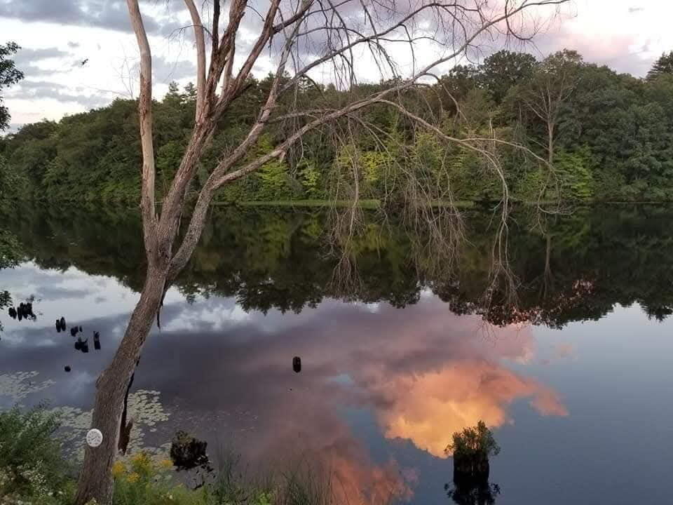 35 Bangor Road Benton, ME 04901 - Photo 95 of 98 429807914