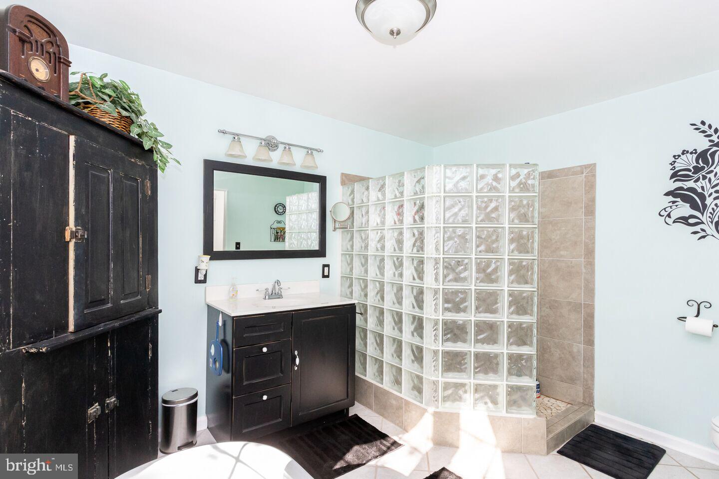 248 Stony Run Road Spring City, PA 19475 - Photo 16 of 32 First Floor Master Bath