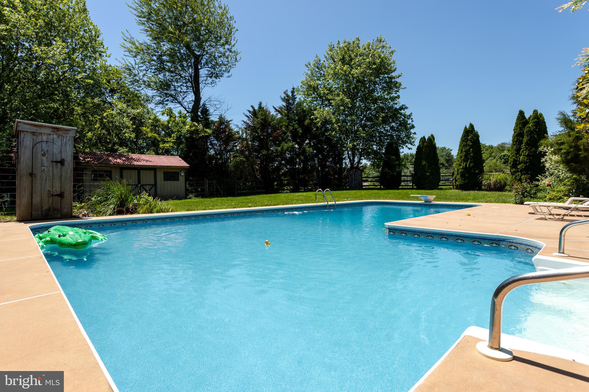 248 Stony Run Road Spring City, PA 19475 - Photo 29 of 32 Backyard Oasis!