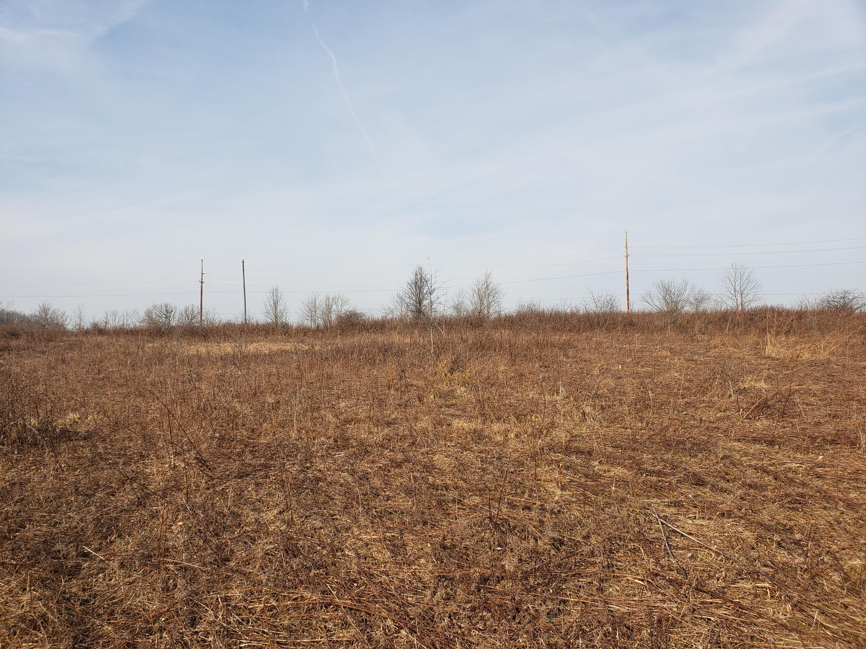 0 Range Line Road Mount Vernon, OH 43050 - Photo 15 of 26 Gallery Image 15