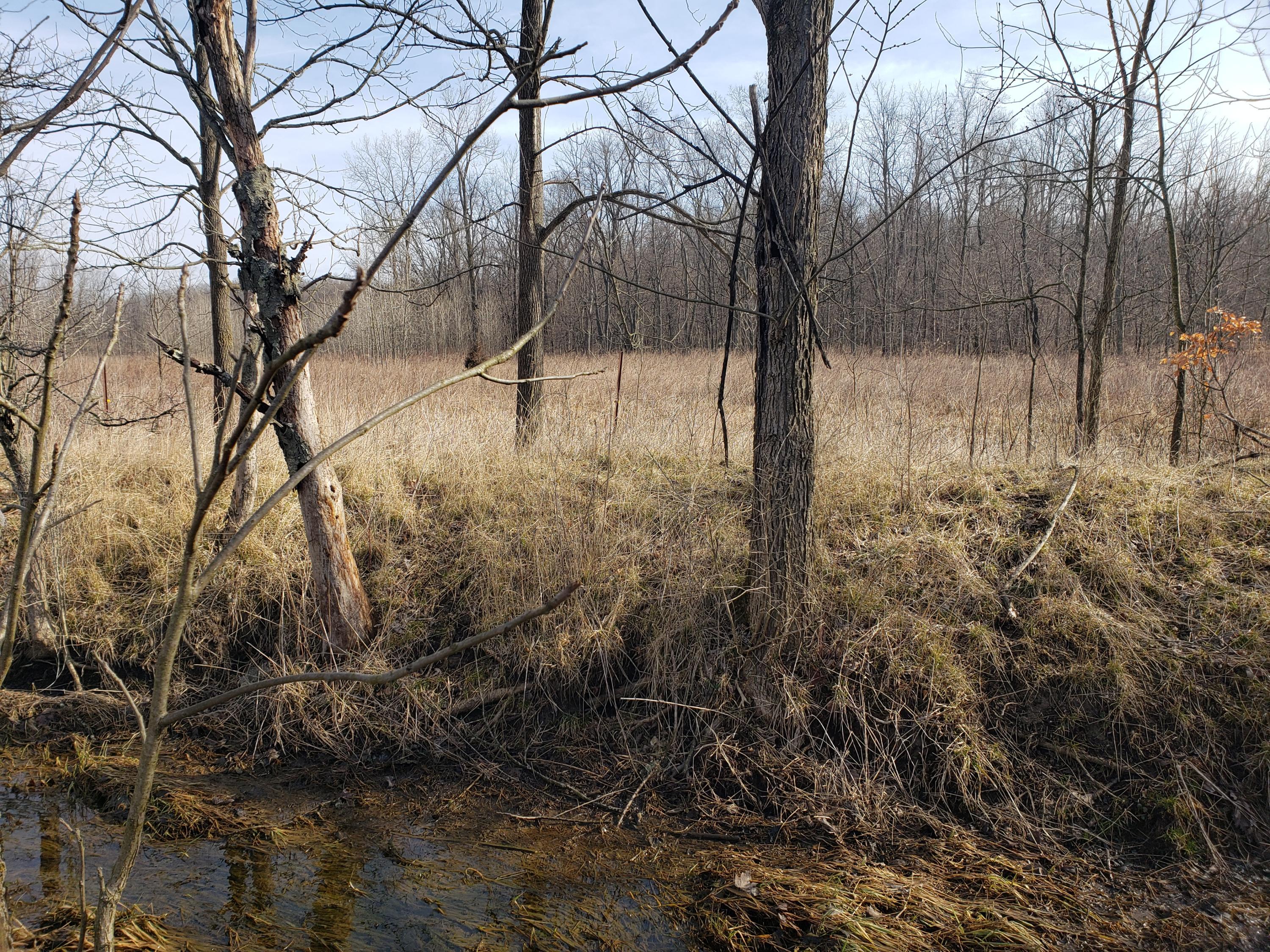 0 Range Line Road Mount Vernon, OH 43050 - Photo 21 of 26 Gallery Image 21