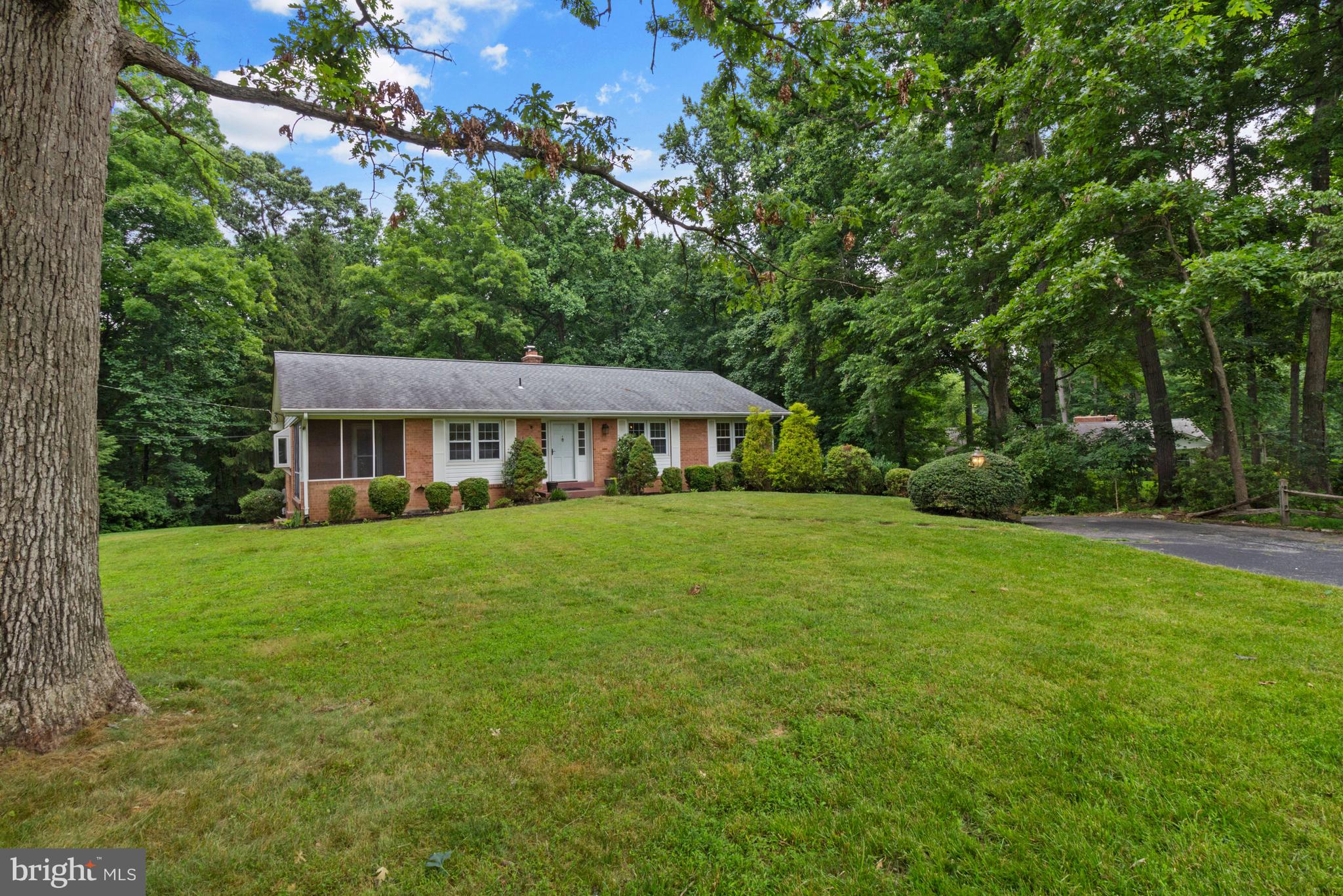 14908 Claude Lane Silver Spring, MD 20905 - Photo 3 of 37 Private and Serene Lot