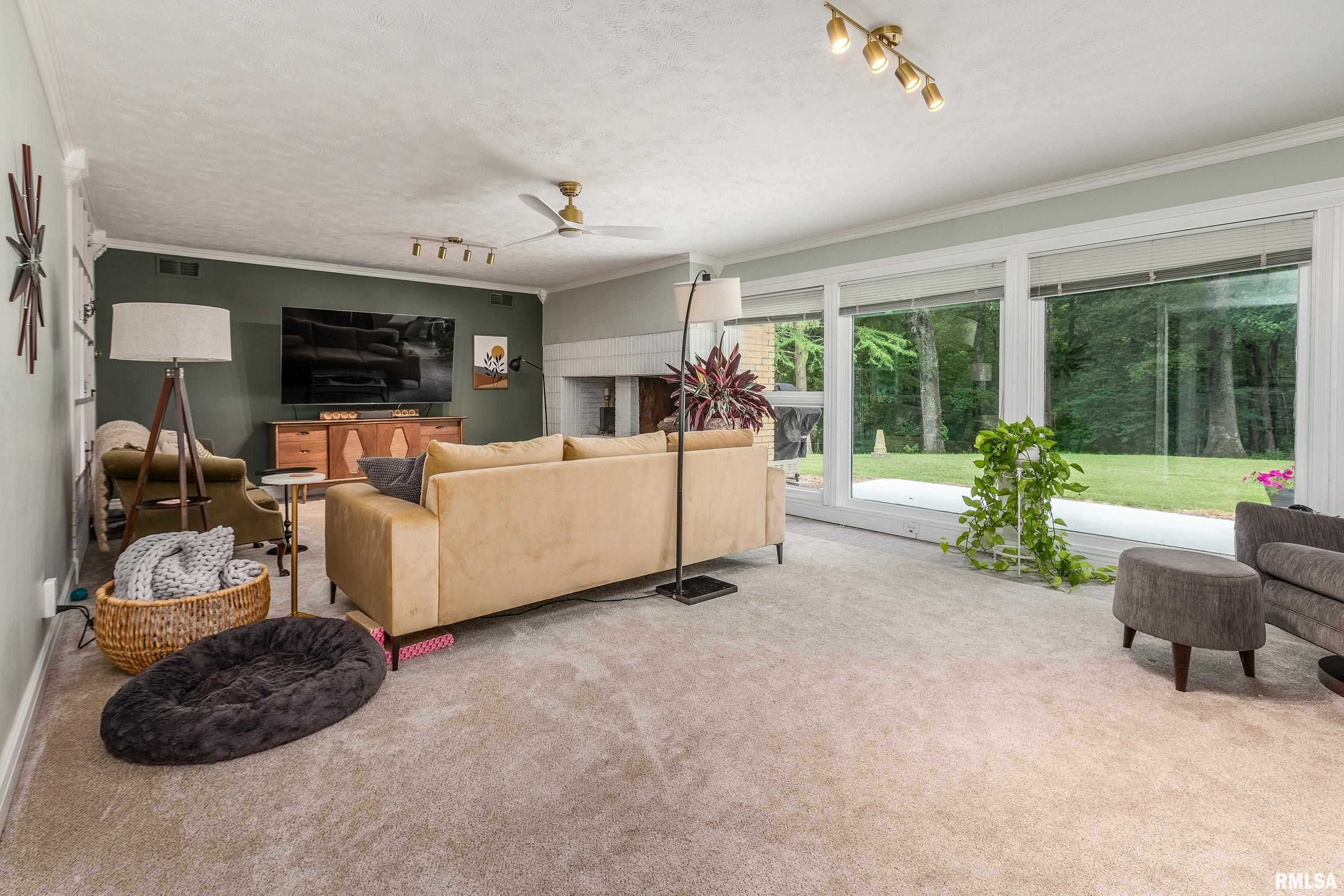 65 Hidden Trace Road Carbondale, IL 62901 - Photo 27 of 62