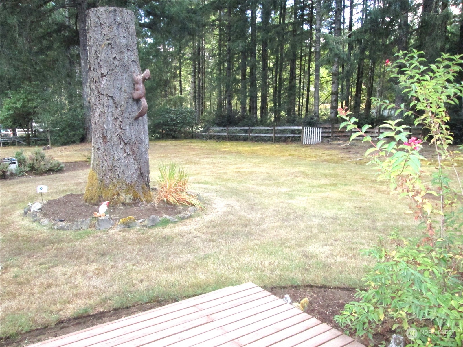 15 Webb Road Southwest Lakebay, WA 98349 - Photo 15 of 39 a view of a yard with large trees