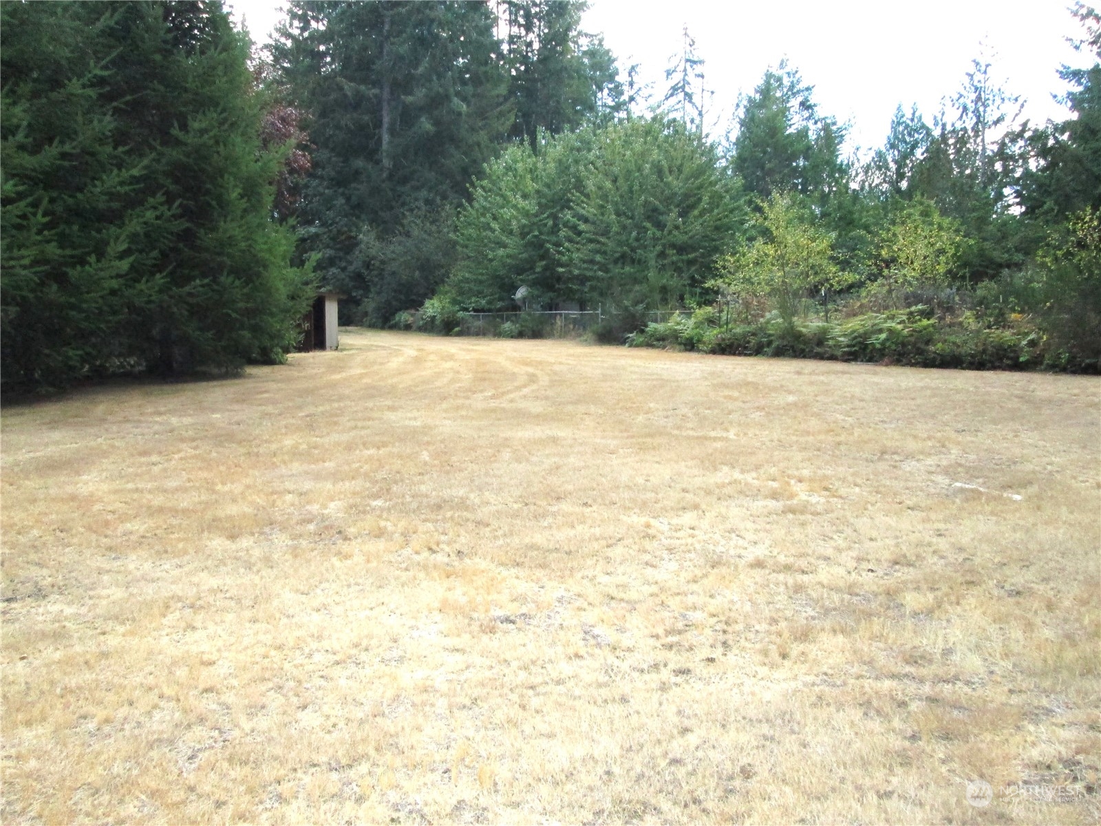 15 Webb Road Southwest Lakebay, WA 98349 - Photo 32 of 39 a view of a yard with a trees