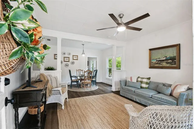a living room with furniture and a potted plant
