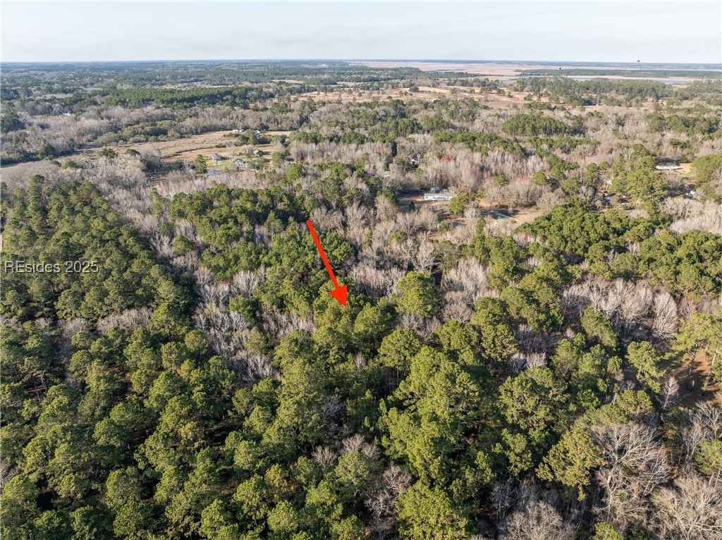 26 Swamprose Lane Seabrook, SC 29940 - Photo 3 of 13