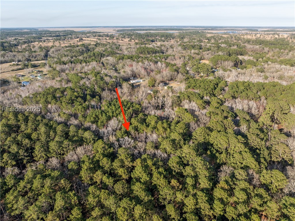 26 Swamprose Lane Seabrook, SC 29940 - Photo 4 of 13