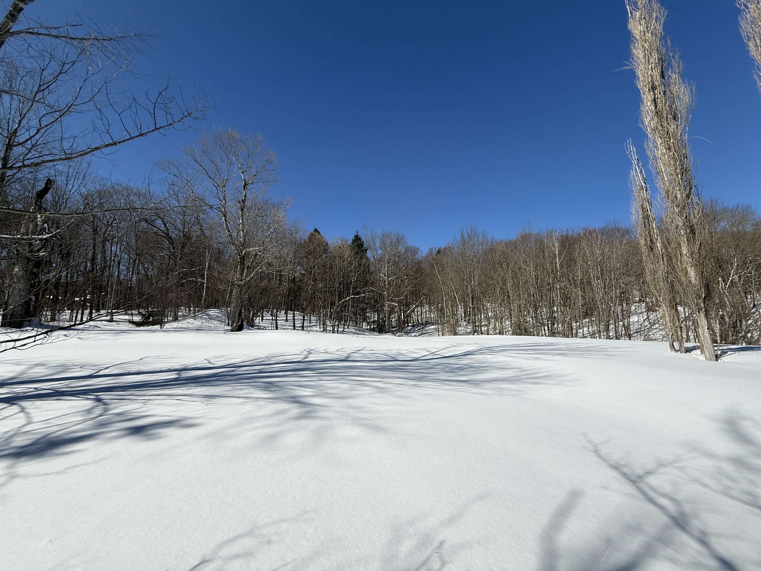 0 Vt Route 11 Peru, VT 05152 - Photo 2 of 14