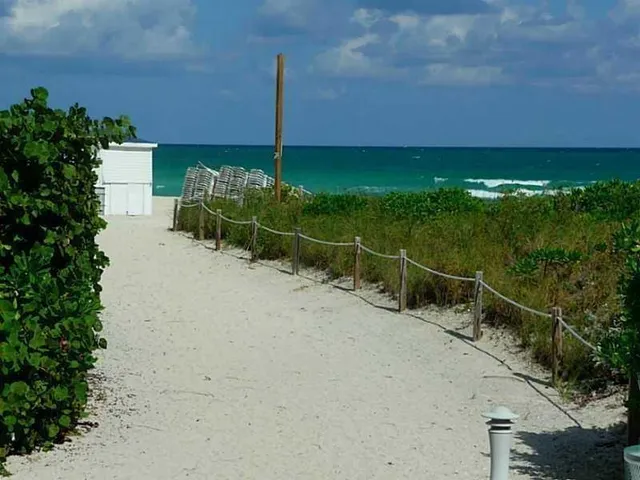 a view of a pathway with a park