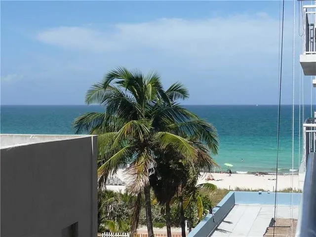 a close up of a plant in a bathroom