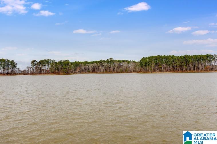 0 County Road 1004, Unit 10 Centre, AL 35960 - Photo 29 of 33