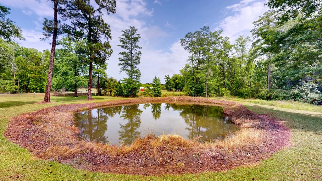 335 A J Register Road Dothan, AL 36301 - Photo 34 of 40