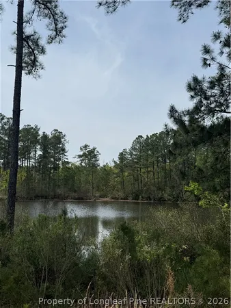 $2,250 | 60 Wildlife Bridge Court, Spring Lake, NC 28390