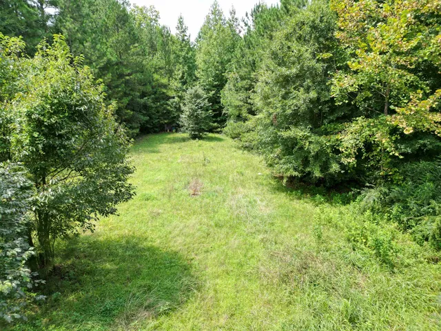 $75,000 | 6470 Whitmire Highway, Whitmire, SC 29178