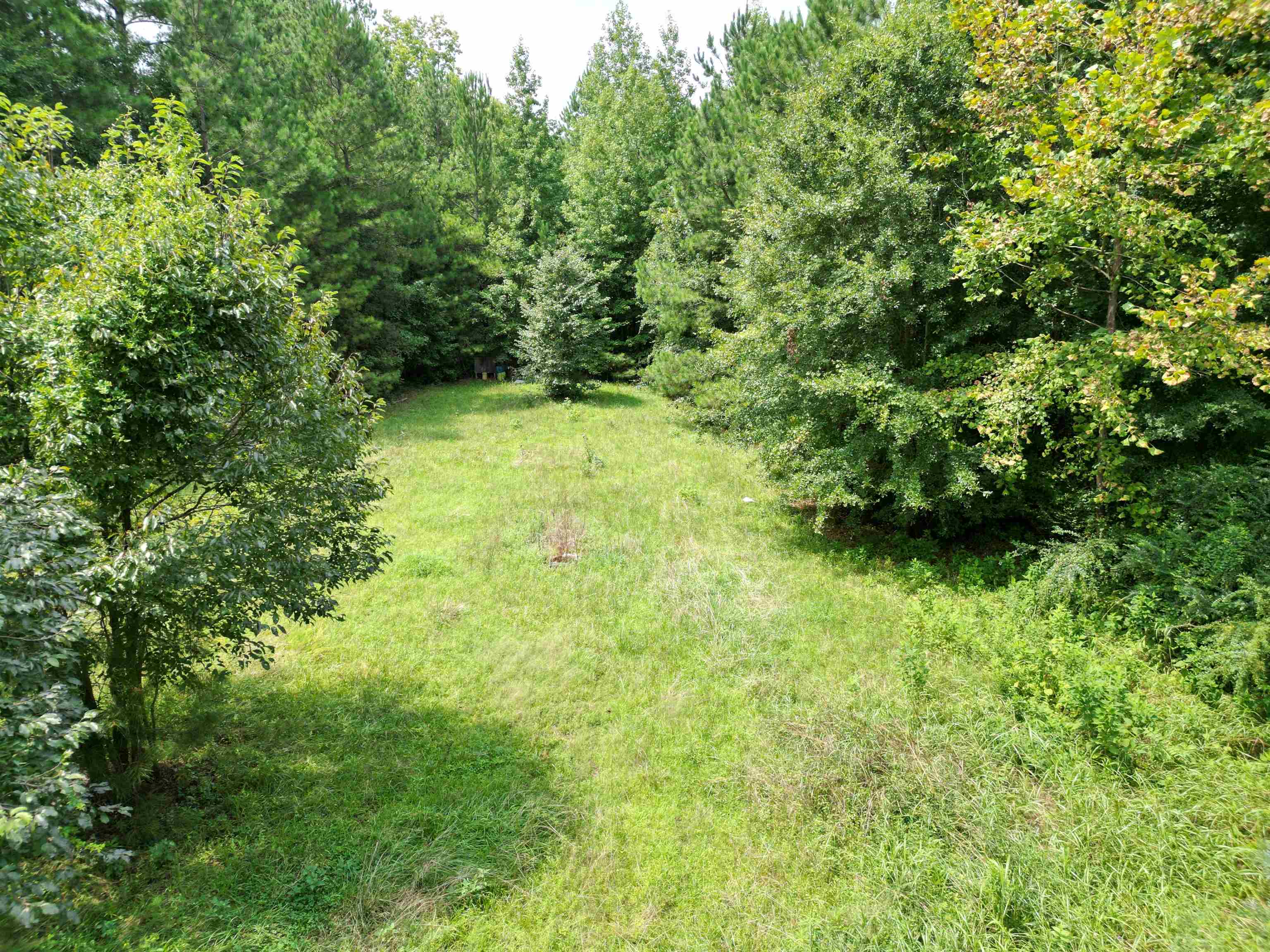 6470 Whitmire Highway Whitmire, SC 29178 - Photo 8 of 14