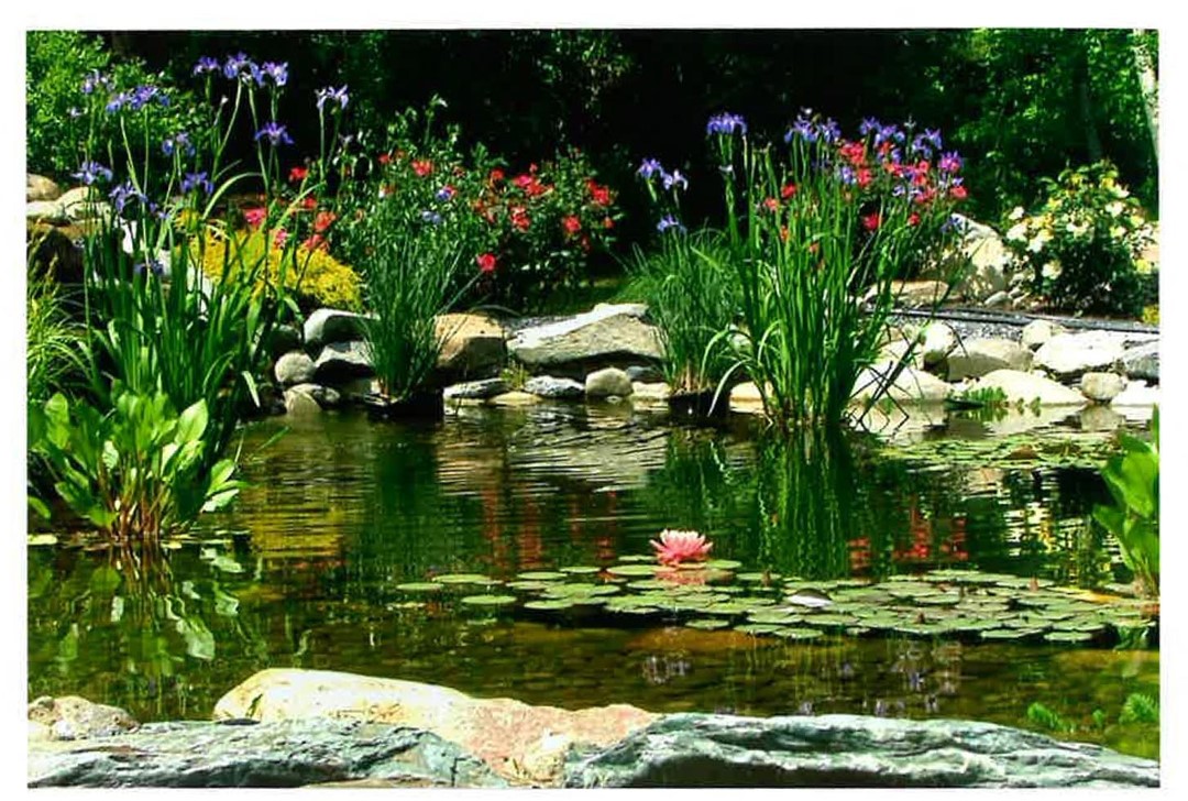 125 Touisset Road Warren, RI 02885 - Photo 28 of 45