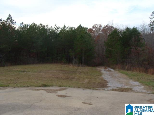 465 Cherokee Road West Blocton, AL 35184 - Photo 21 of 29
