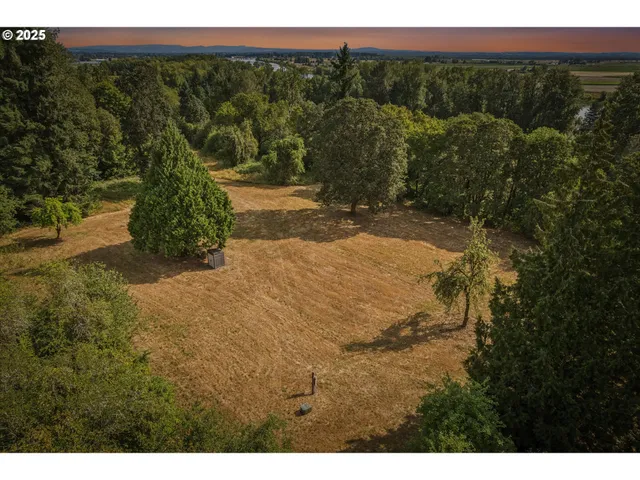 a view of a yard with an outdoor