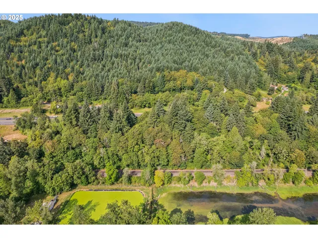 a view of a yard with an trees