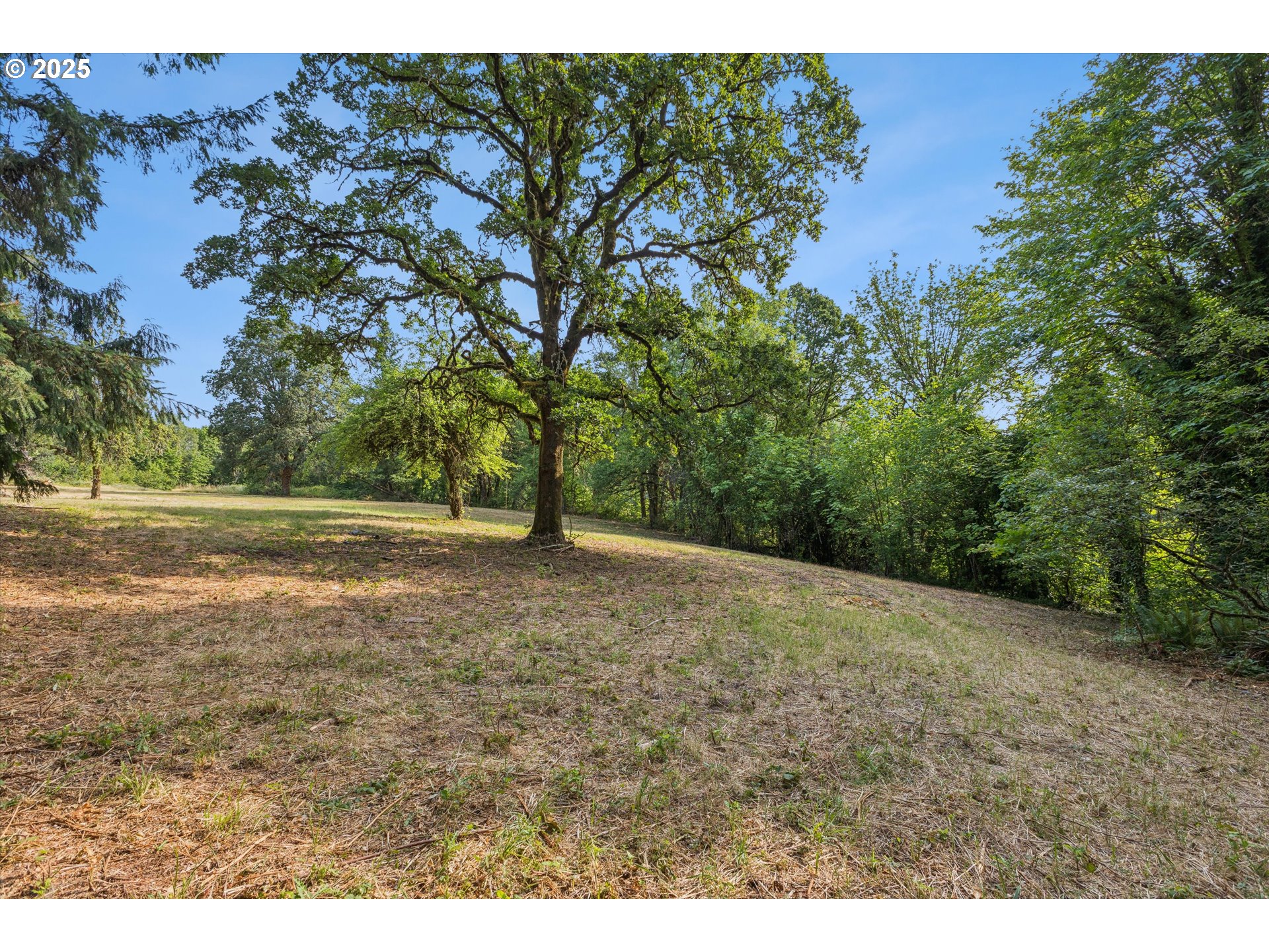 25900 Northwest St Helens Road Scappoose, OR 97056 - Photo 23 of 29 a view of dirt field with trees in the background