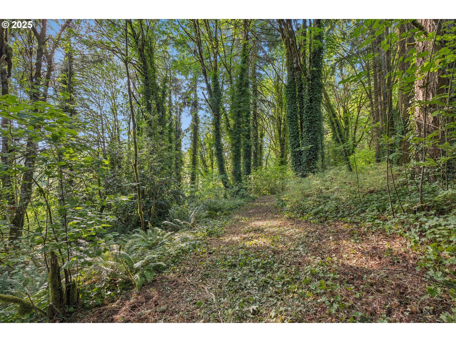 25900 Northwest St Helens Road Scappoose, OR 97056 - Photo 25 of 29 a view of outdoor space and green space
