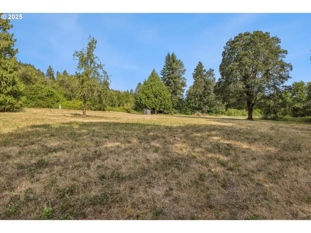 a view of an outdoor space and a yard