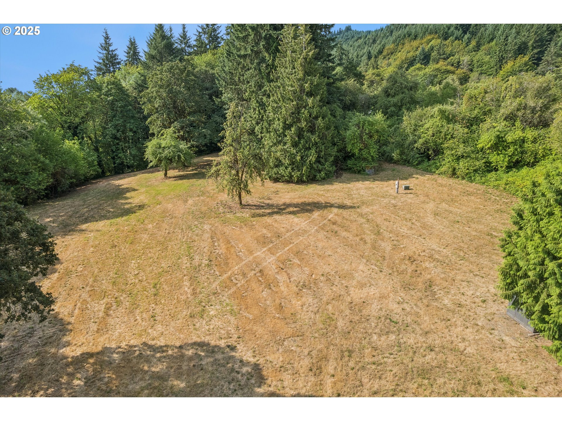 25900 Northwest St Helens Road Scappoose, OR 97056 - Photo 5 of 29 a view of a yard with a tree