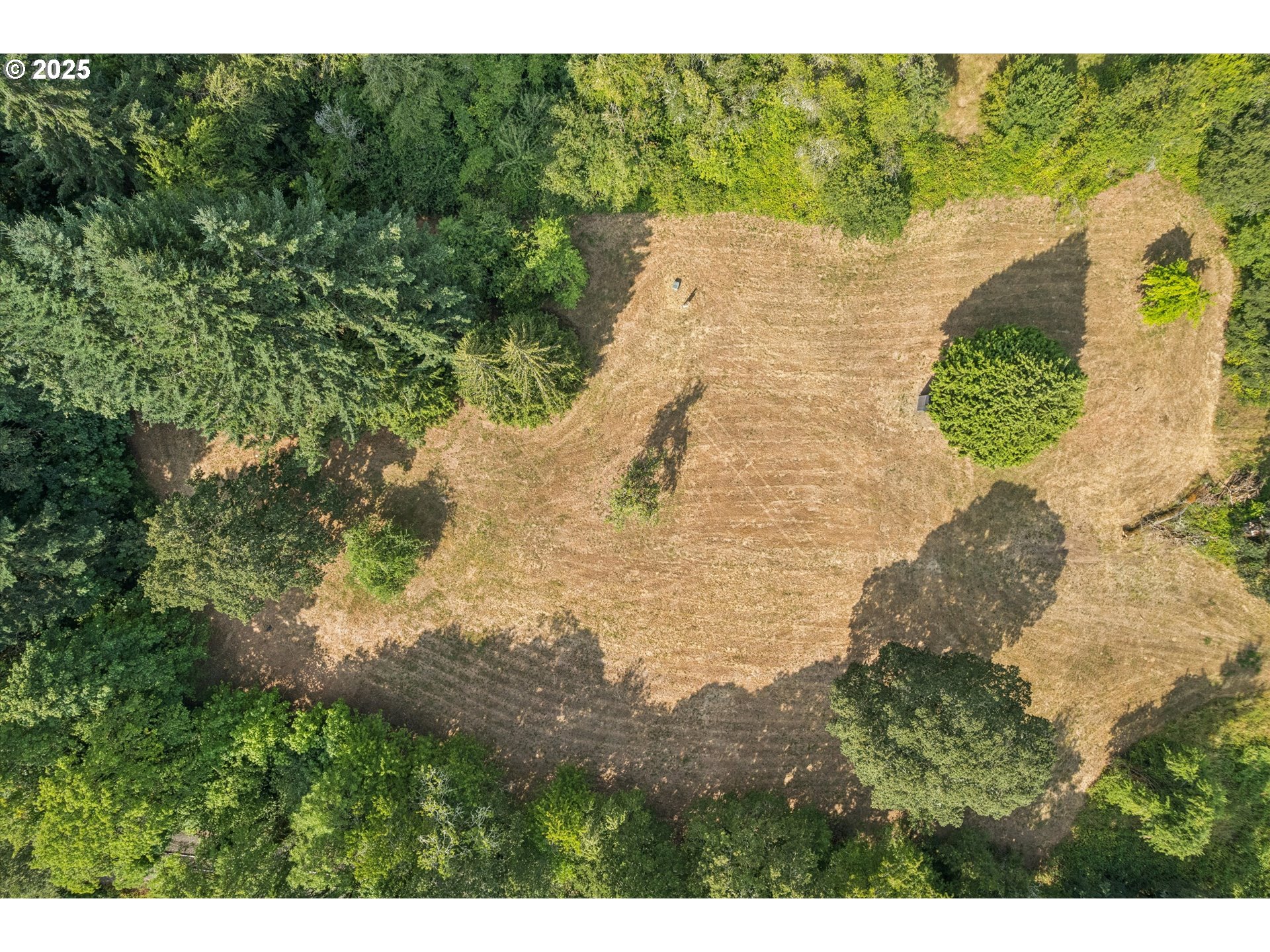 25900 Northwest St Helens Road Scappoose, OR 97056 - Photo 9 of 29 a view of a plant in a garden