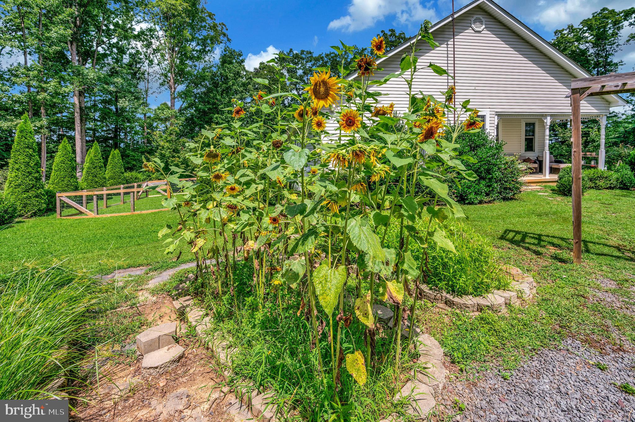 29288 Old Rhoadesville, VA 22542 - Photo 44 of 63 a house with lots of trees in the background