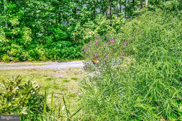a view of a house with backyard