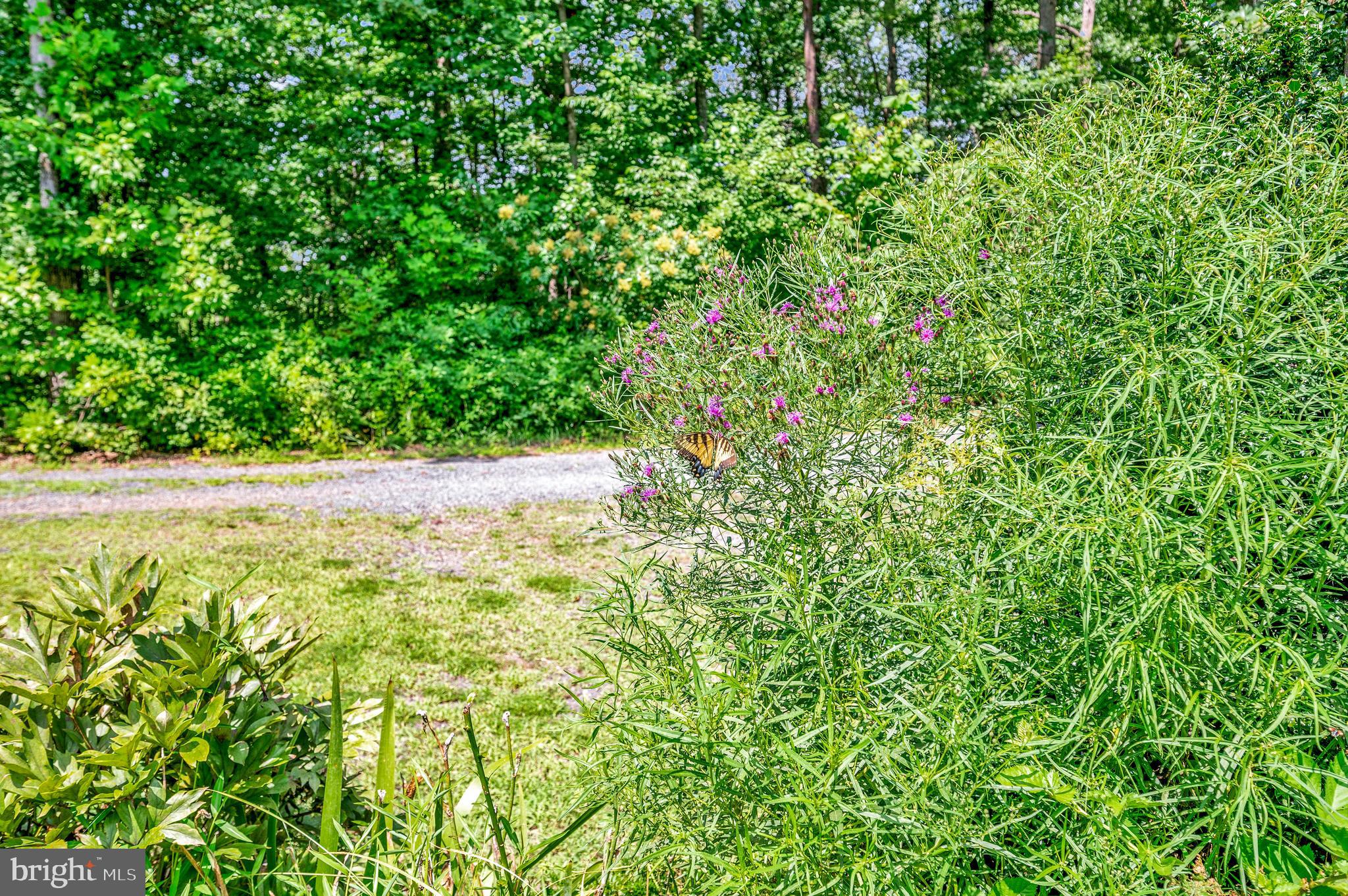29288 Old Rhoadesville, VA 22542 - Photo 46 of 63 a backyard of a house with lots of green space