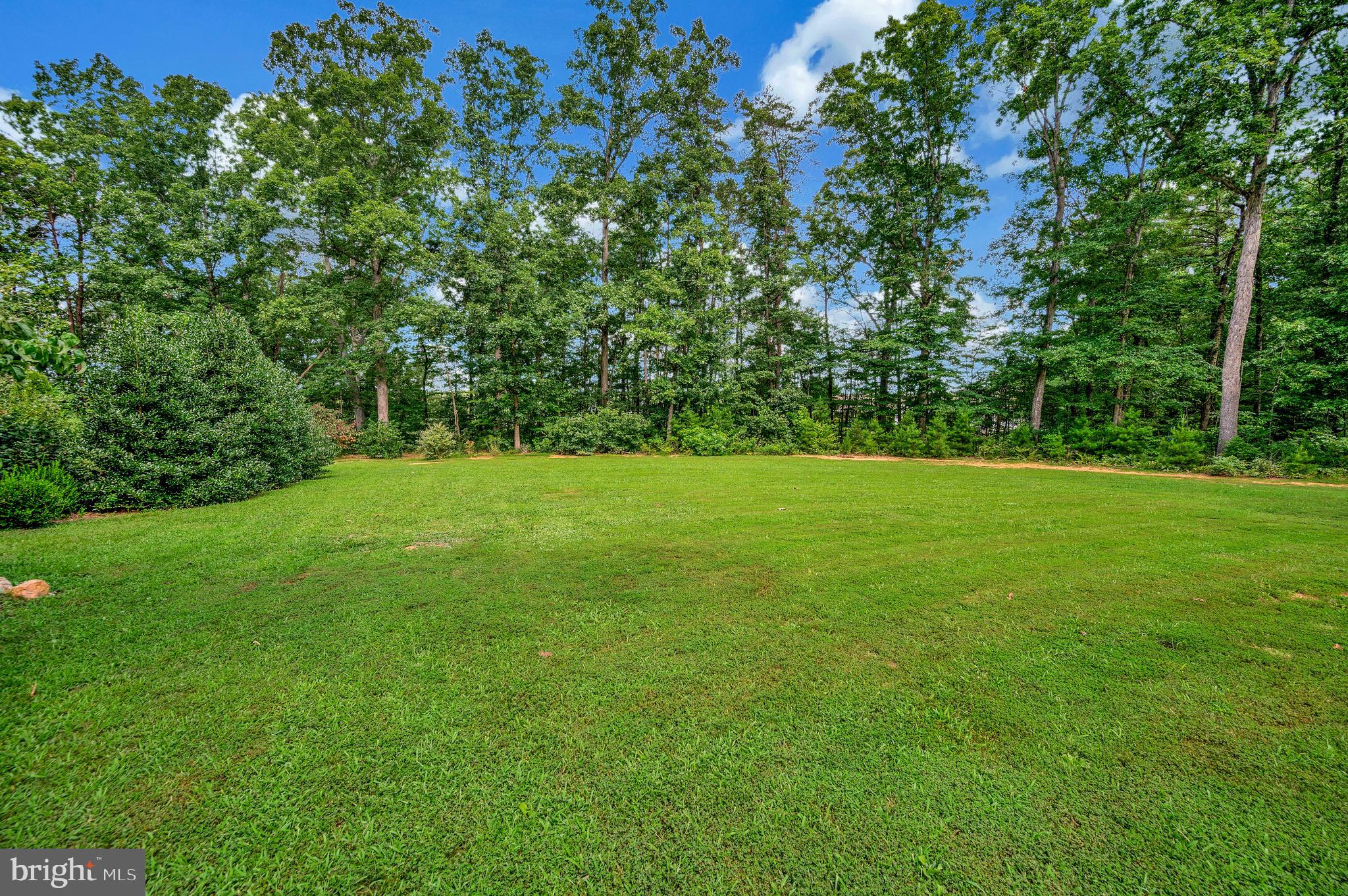 29288 Old Rhoadesville, VA 22542 - Photo 48 of 63 a view of a grassy field with trees