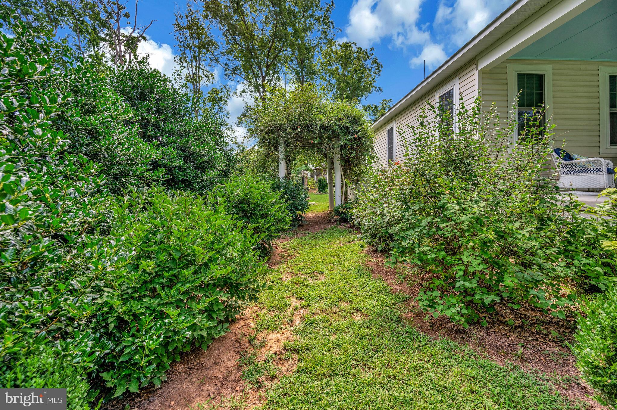29288 Old Rhoadesville, VA 22542 - Photo 49 of 63 a backyard of a house with lots of green space