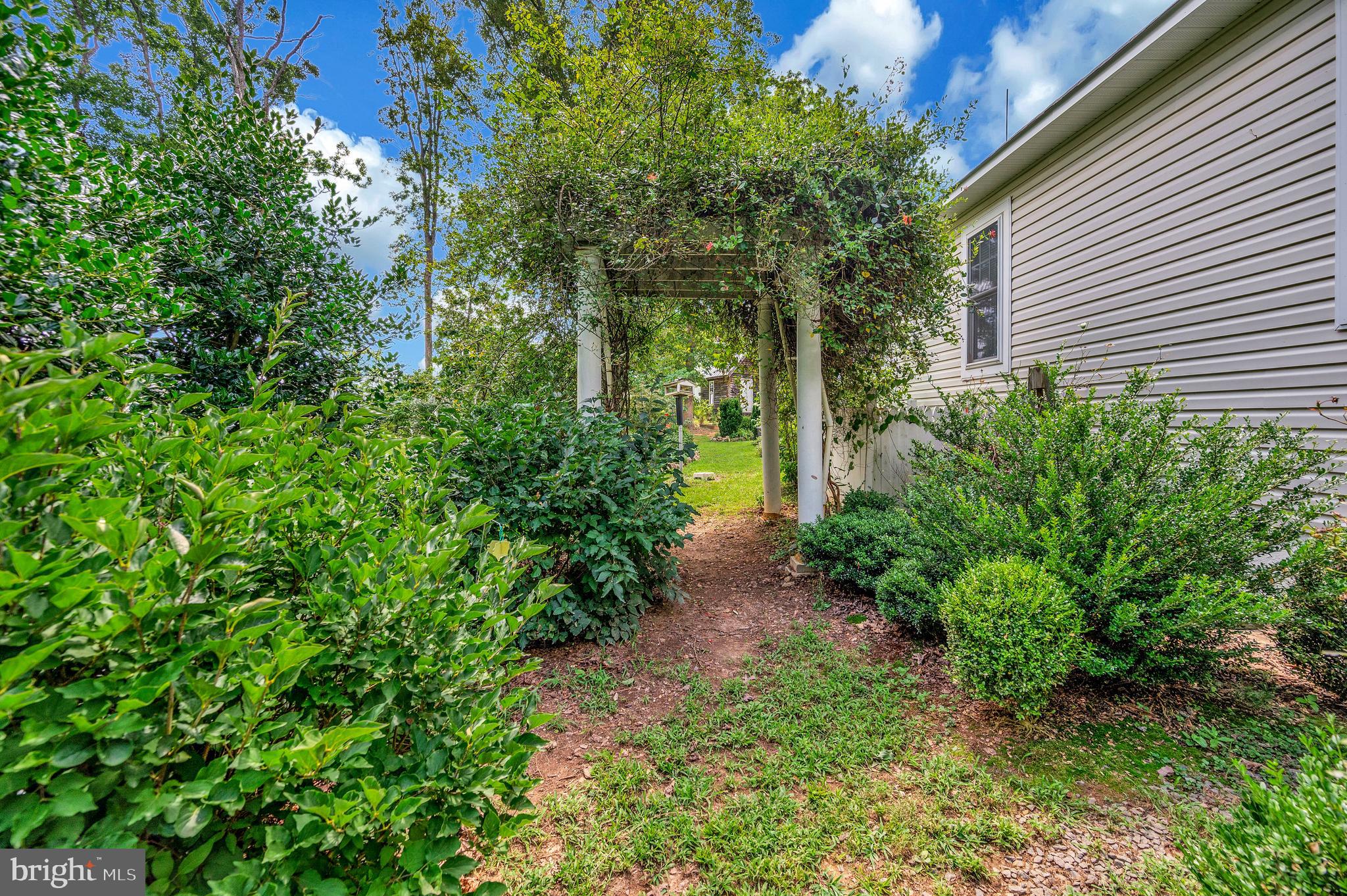 29288 Old Rhoadesville, VA 22542 - Photo 50 of 63 a view of a yard with plants and large trees