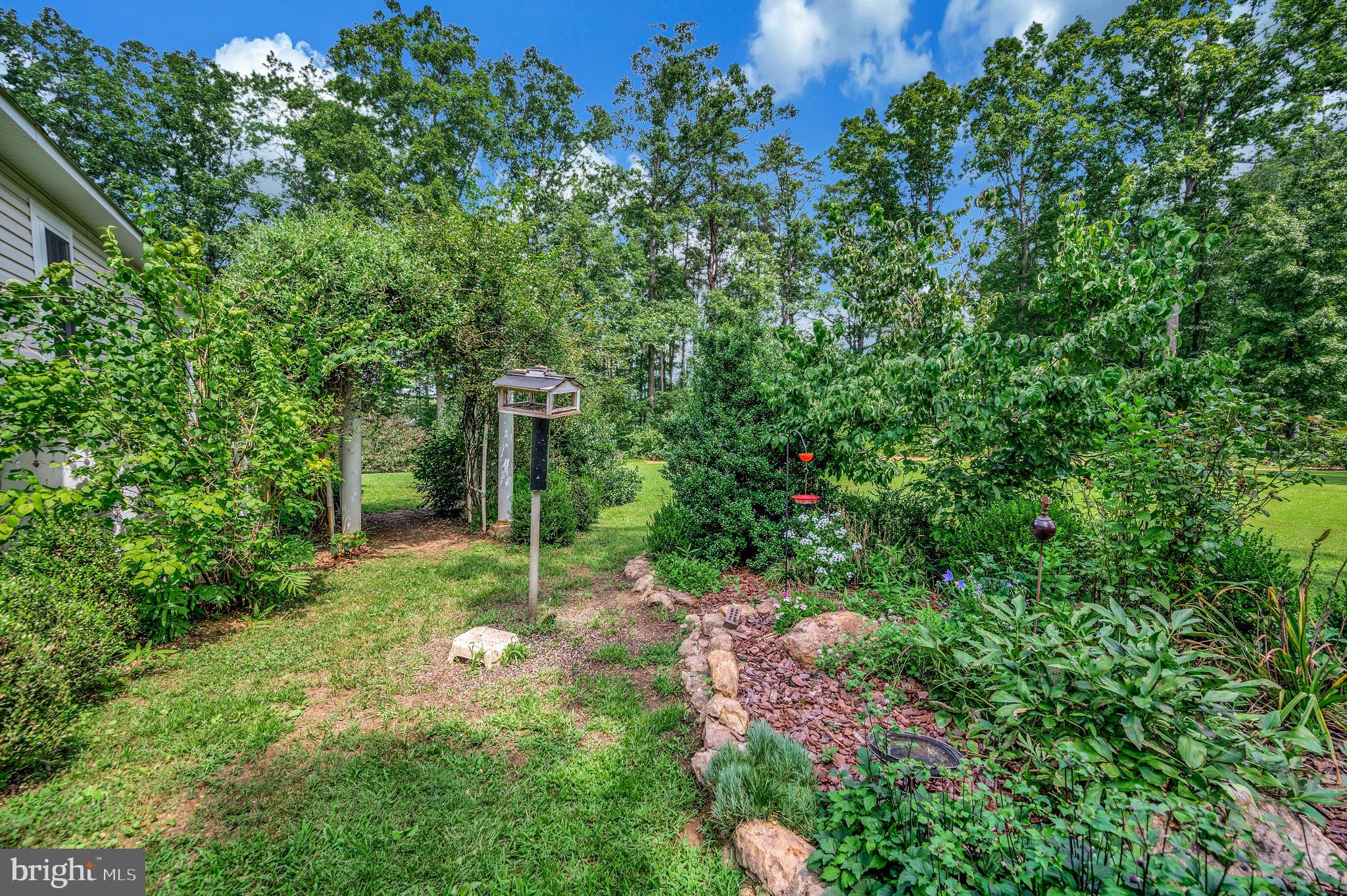 29288 Old Rhoadesville, VA 22542 - Photo 51 of 63 a backyard of a house with lots of green space