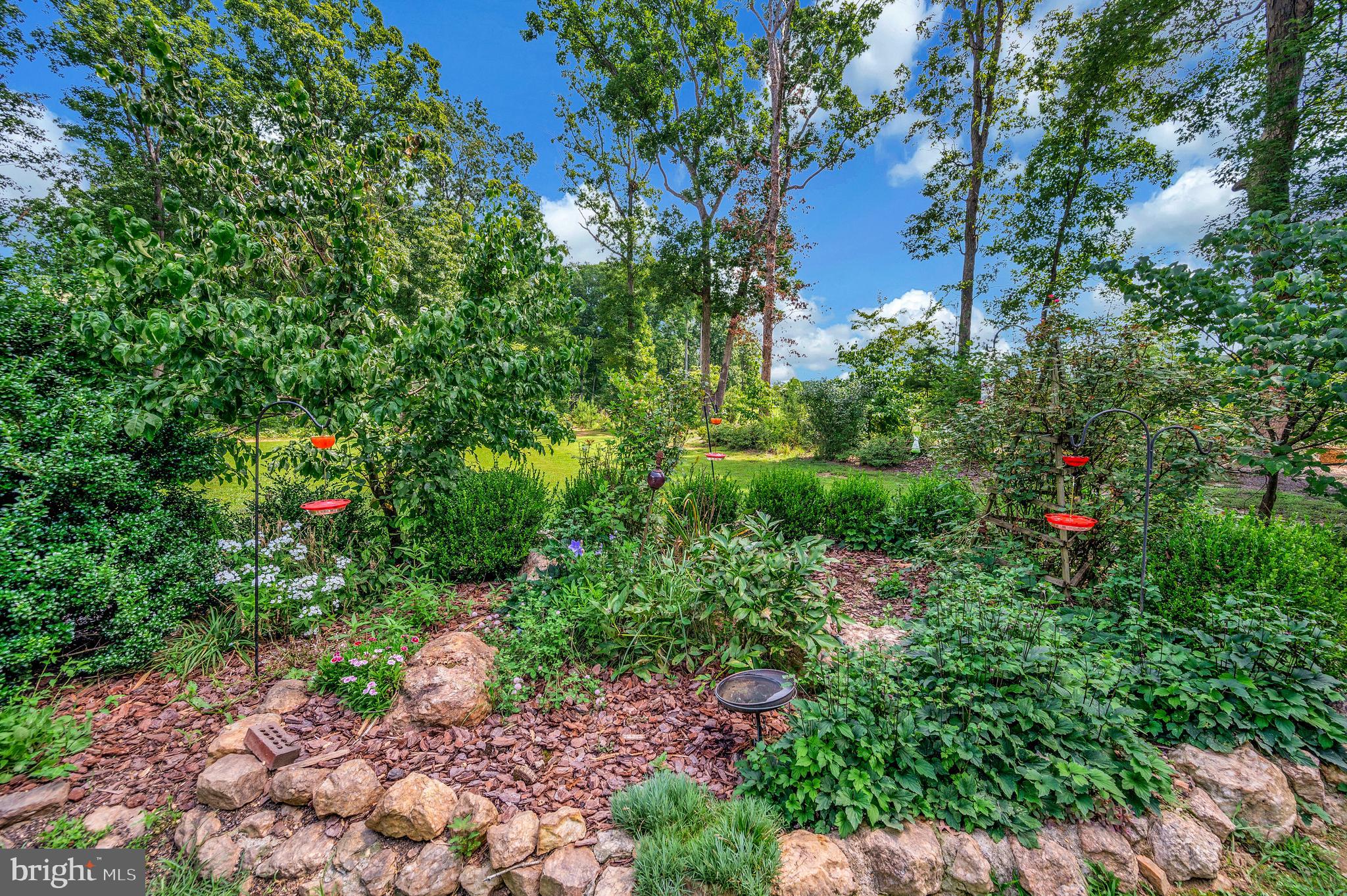 29288 Old Rhoadesville, VA 22542 - Photo 52 of 63 a view of a garden with plants