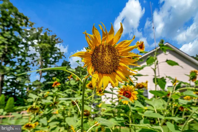 $515,000 | 29288 Old, Rhoadesville, VA 22542